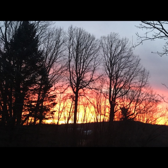 Meet your Posher, Carolyn - Picture 1 of 1